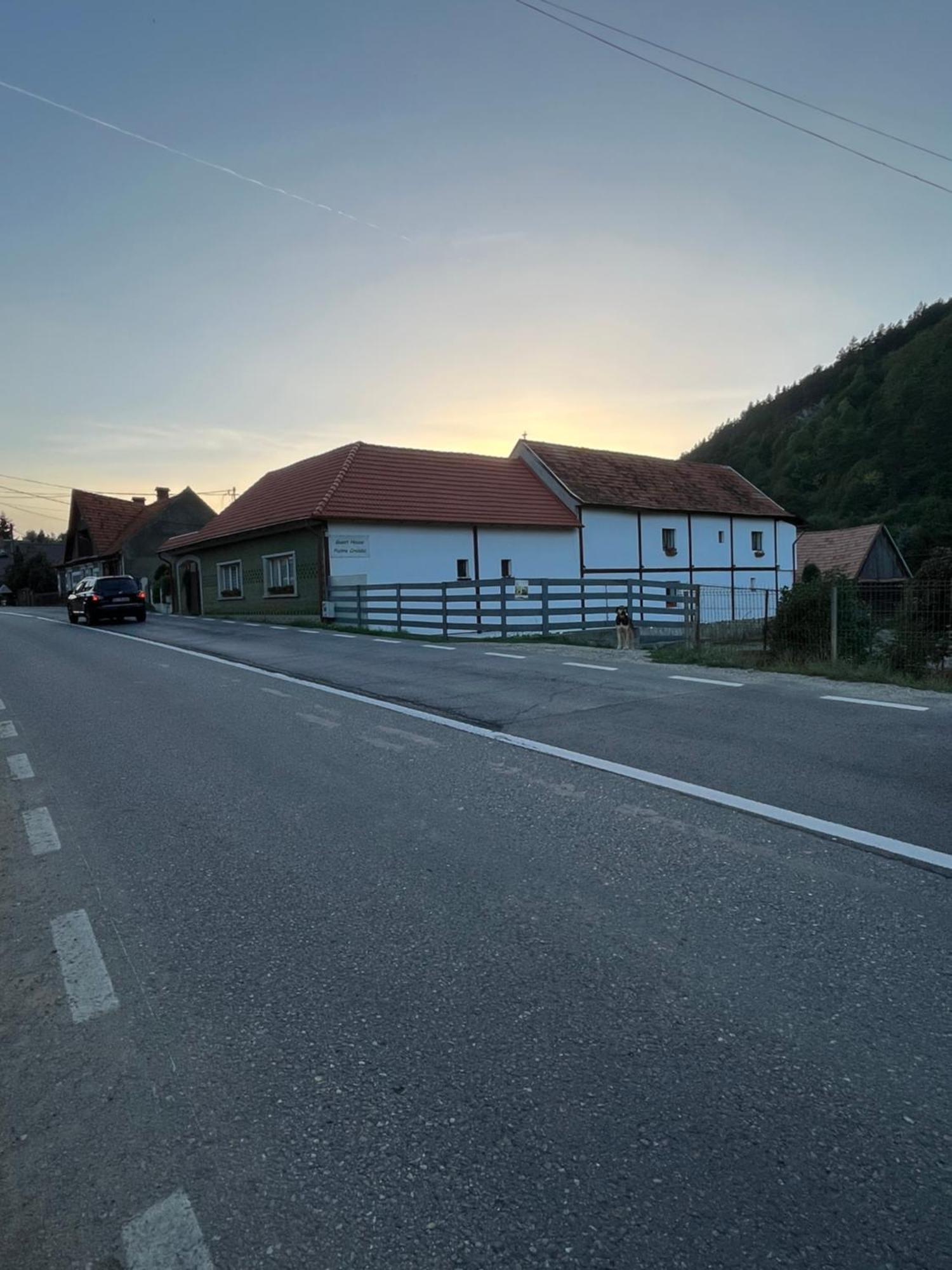 Guest House Piatra Craiului Bran  Exterior foto